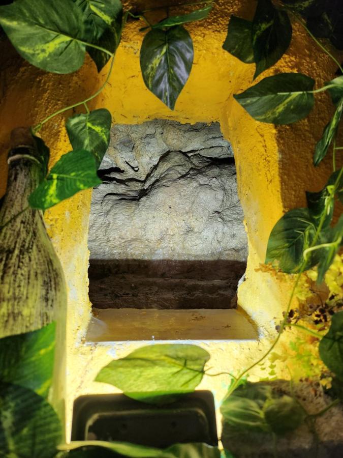 Casita Zamudio Διαμέρισμα Setenil De Las Bodegas Εξωτερικό φωτογραφία